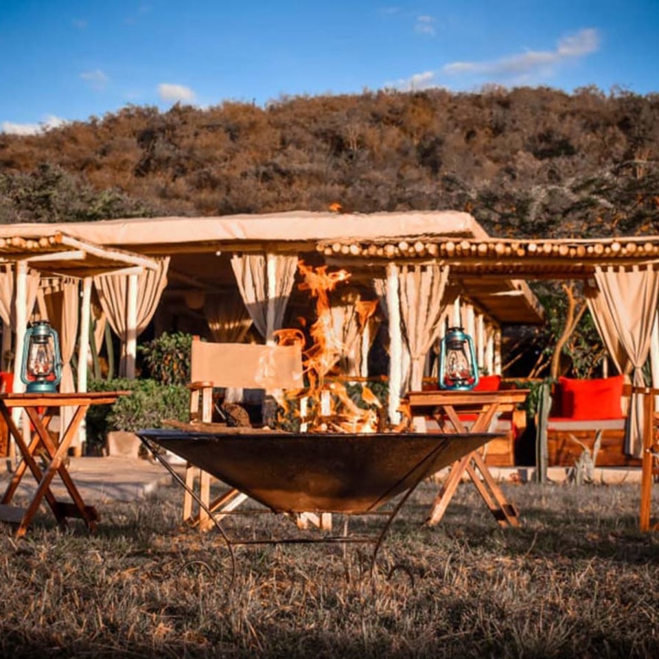 Zebra Plains Mara Camp Kenia